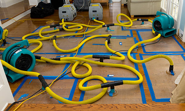 Professional Crawl Space Water Removal technician working in Townley, AL